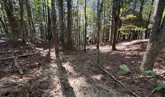 18 6 Acres Cave Branch Rd, Allardt, TN 38504