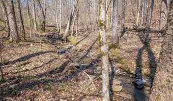 163 Acres Duck Springs Rd, Attalla, AL 35954