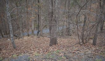 ANDERSON Road, Basye, VA 22810