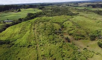 1-3 PRIVATE Rd, Hakalau, HI 96710