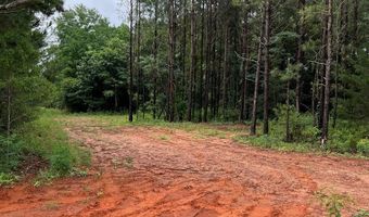 01 Parcel 2 County Road 6629, Banks, AL 36005