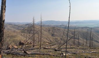 Pine Acres Rd, Bellvue, CO 80512