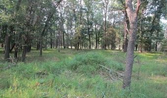 810 Sherman St, Adams, WI 53910