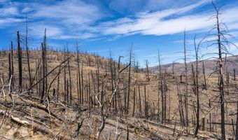 3600 Moondance Way, Bellvue, CO 80512