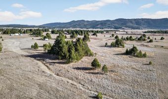 10201 Packsaddle Rd, Cascade, ID 83611