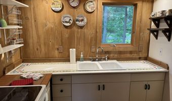 7386 Cheboygan St, Alanson, MI 49706
