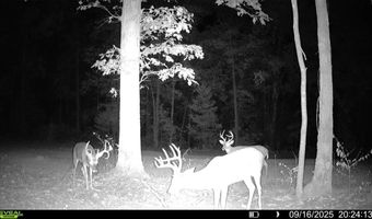 1307 Route Af, Ava, MO 65608