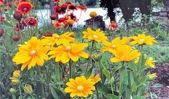 1626 Melvina Ln SW, Alexandria, MN 56308