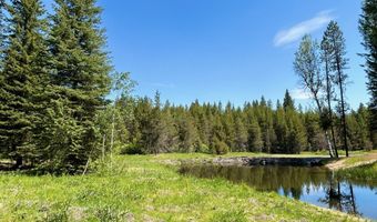 Tbd Sawtooth Loop, Cascade, ID 83611