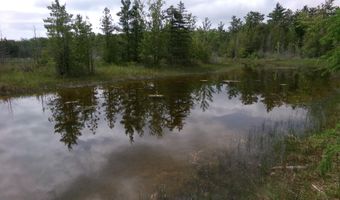 3305 El Cajon Beach Rd, Alpena, MI 49707