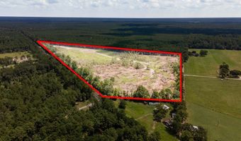 R53358 Tract 3 Hwy 94, Apple Springs, TX 75926