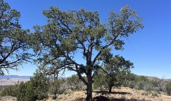 295 Old Deputy Shortline, Ash Fork, AZ 86320