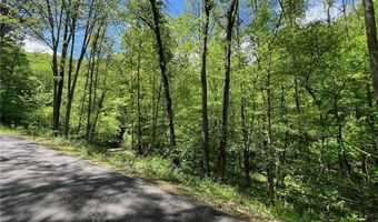 0 Crooked Creek Rd, Alum Creek, WV 25309