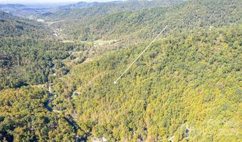 10 Dodd Rd, Barnardsville, NC 28709