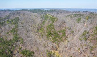 163 Acres Duck Springs Rd, Attalla, AL 35954
