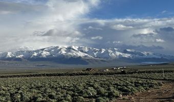 4600 Risue Rd, Gardnerville, NV 89410