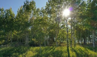 HWY 32, Ashton, ID 83420