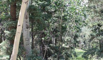 El Camino Real, Angel Fire, NM 87710