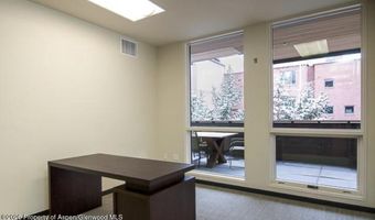625 E Main St 204, Aspen, CO 81611