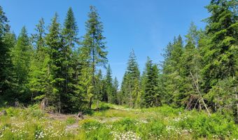 NNA Enchanted Lane # 3, Bonners Ferry, ID 83805