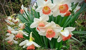 13801 MANOR Rd, Baldwin, MD 21013