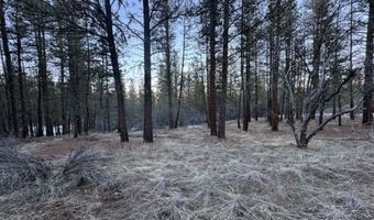 Bobcat Circle, Beatty, OR 97621