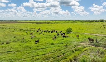 21737 Keno Rd, Abbeville, LA 70510