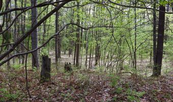 5826 S Morrison Rd, Alger, MI 48610