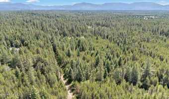 Tbd Homestead Rd, Athol, ID 83801