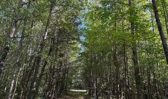 0 Coleman Mountain Rd, Appomattox, VA 24522