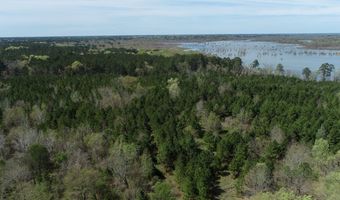 Tbd Pump Station Rd, Ashdown, AR 71822