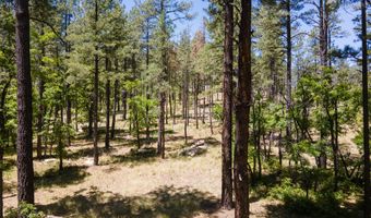 13 County Road N 2122, Alpine, AZ 85920