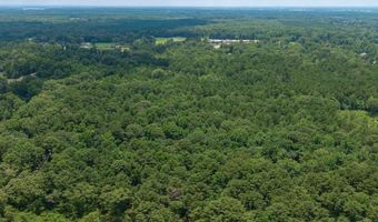 204 Silver Leaf Dr, Benton, LA 71006