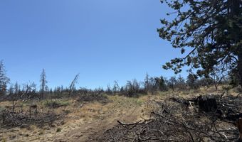 0 Jaguar Ln Lot 3, Bonanza, OR 97623