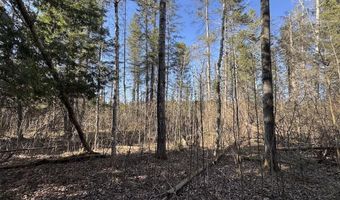 2254 E M30, Alger, MI 48610