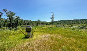 001 N 4220 Rd, Antlers, OK 74536