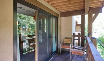 131 E Durant Avenue 410, Aspen, CO 81611