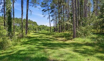 501 Southern Lks, Arabi, GA 31712