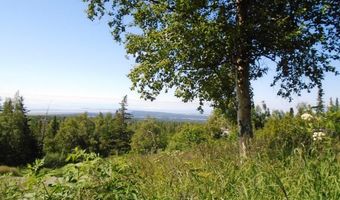 12801 Midori Dr, Anchorage, AK 99516