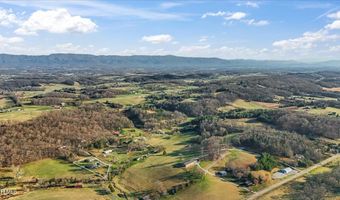225 Mary Lamons Rd, Afton, TN 37616