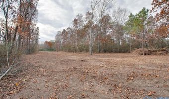 10 Acres County Road 379, Dutton, AL 35744