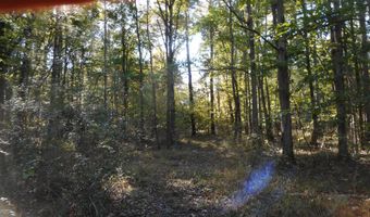 E-S Drive, Braxton, MS 39044