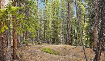 PCS # 7765 & 12057 Rollies Trail lot 0, Alma, CO 80420