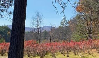 44 Pleasant View Rd, Bradford, NH 03221