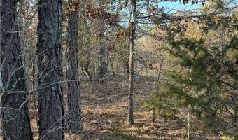 Tract 2 Rural Atoka, Atoka, OK 74525