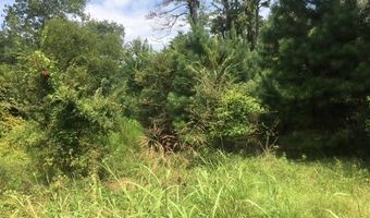 3204 Masseyville, Macon, GA 31217