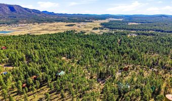 12 W Pergatory Dr, Alpine, AZ 85920