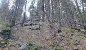 1077 Roland Dr, Bailey, CO 80421