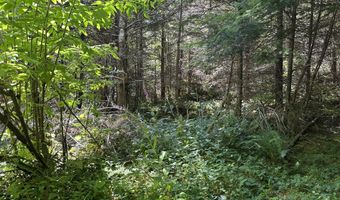 Glenn Creek Rd 300, Allegany, OR 97407