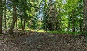 Parcel A Beaver Trail, Alder Creek, NY 13301